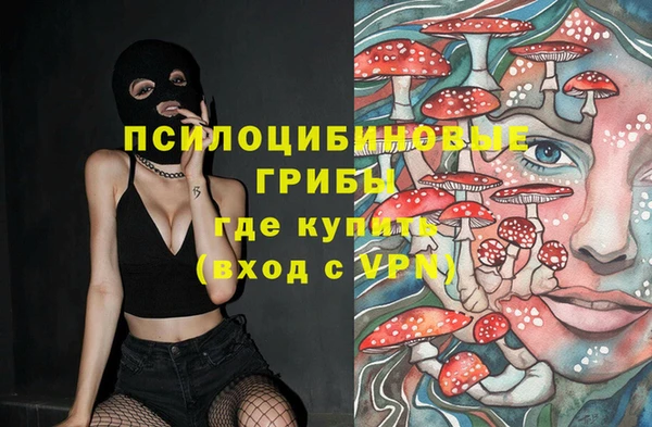 каннабис Бородино