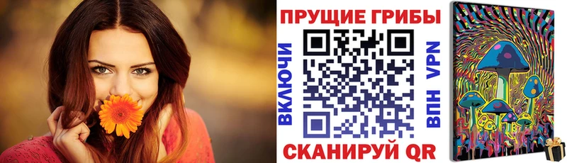Галлюциногенные грибы Psilocybine cubensis  blacksprut ONION  darknet Telegram  Кореновск 