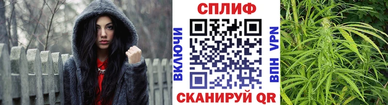 Конопля семена  omg как зайти  Кореновск 